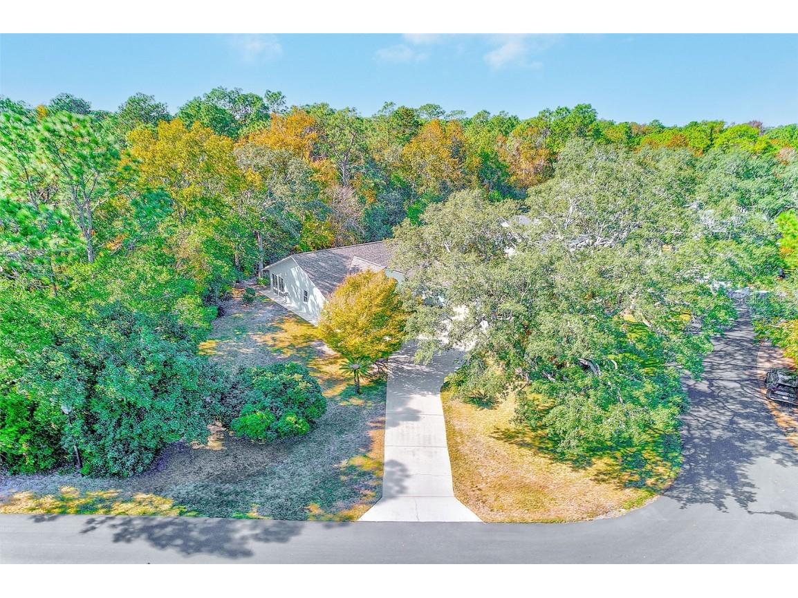 30 Lemington Court Homosassa FL 34446 TB8449633 image44