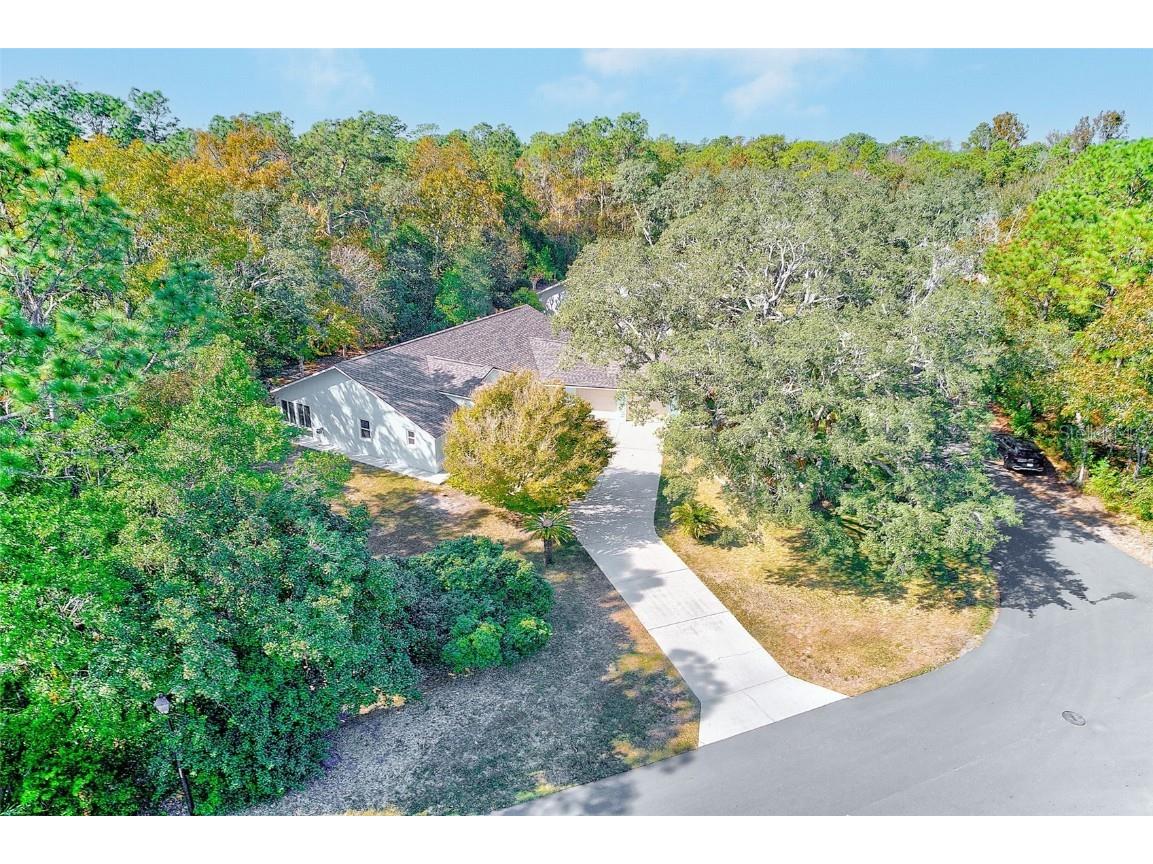 30 Lemington Court Homosassa FL 34446 TB8449633 image46