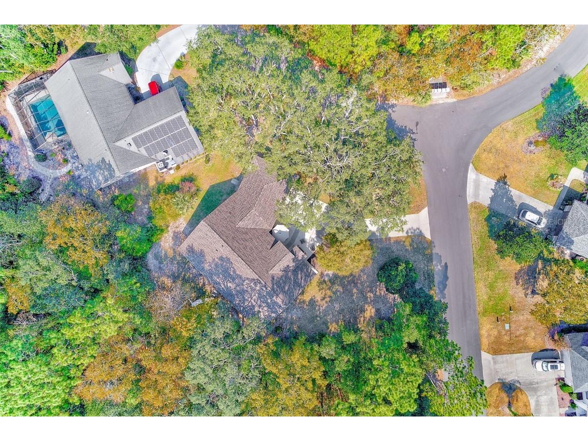 30 Lemington Court Homosassa FL 34446 TB8449633 image47