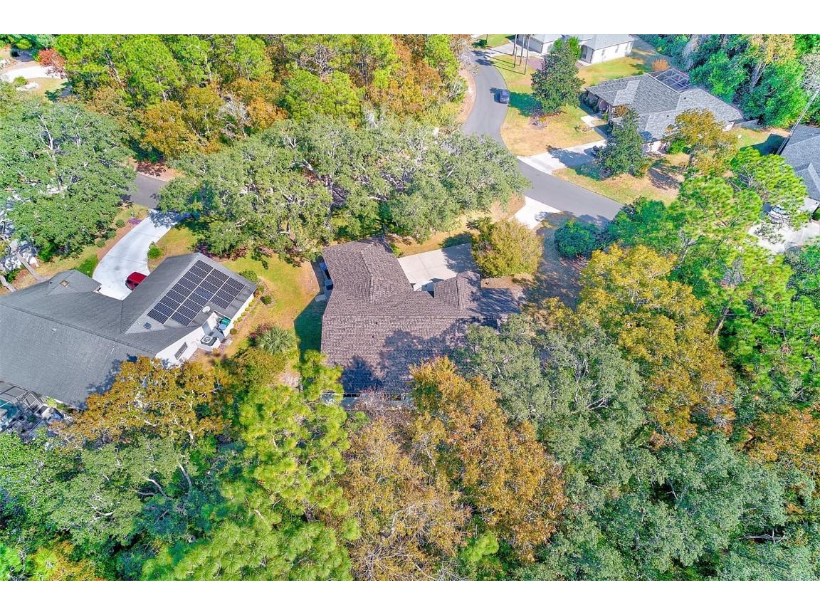 30 Lemington Court Homosassa FL 34446 TB8449633 image48