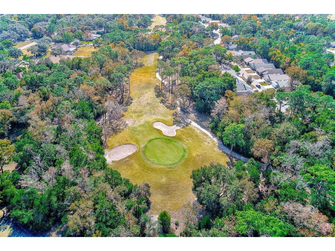 30 Lemington Court Homosassa FL 34446 TB8449633 image50