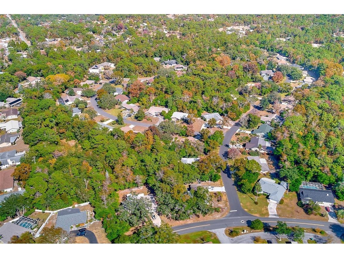 30 Lemington Court Homosassa FL 34446 TB8449633 image51