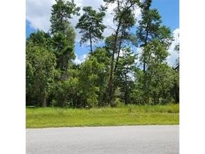 30 Lone Pine Street Homosassa FL 34446 W7852933 image1