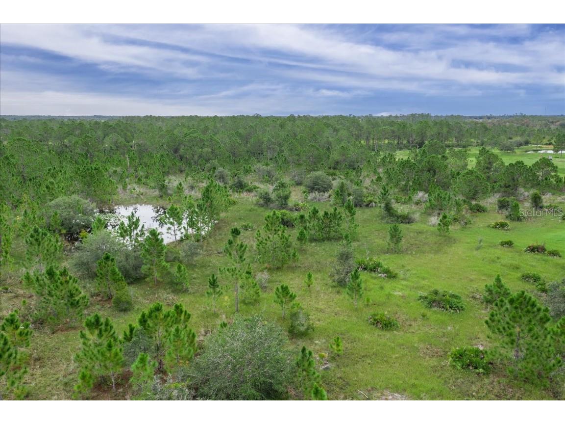 30 Milky Way Venus FL 33960 L4955988 image34