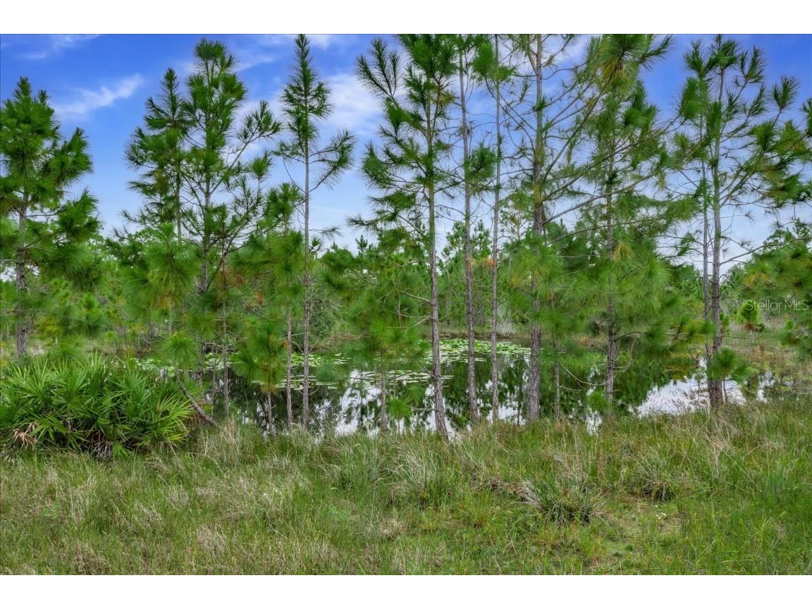 30 Milky Way Venus FL 33960 L4955988 image42