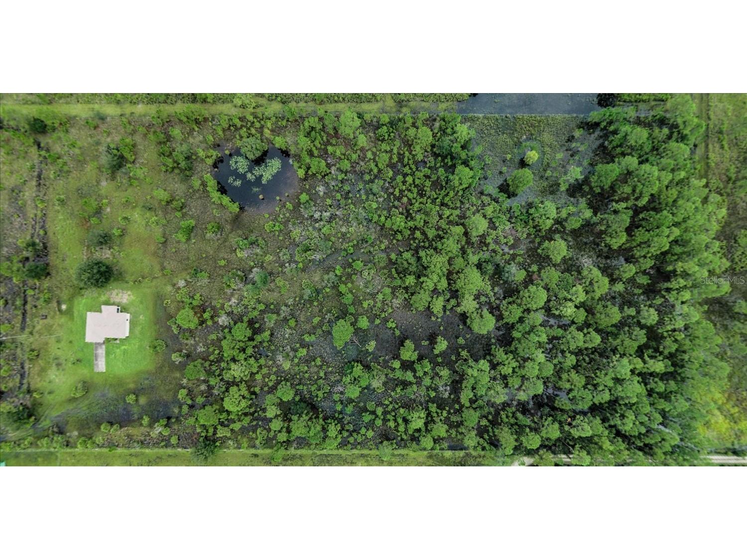 30 Milky Way Venus FL 33960 L4955988 image43