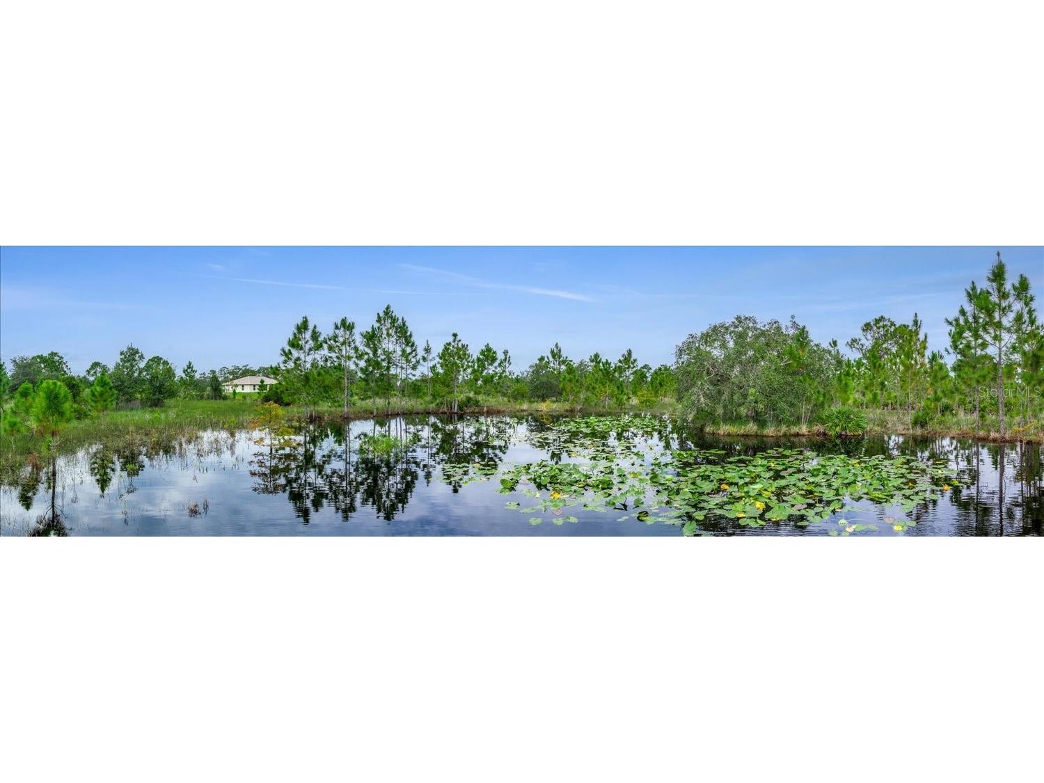 30 Milky Way Venus FL 33960 L4955988 image45