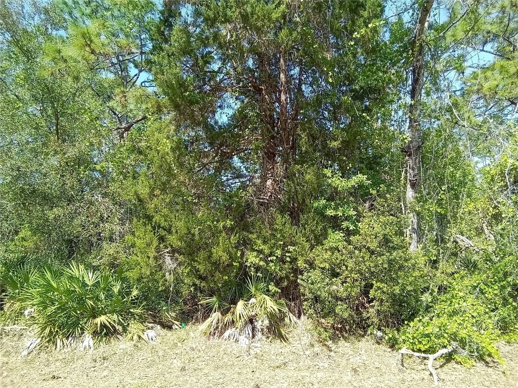 30 Pine Drive Homosassa FL 34446 OM677384 image1