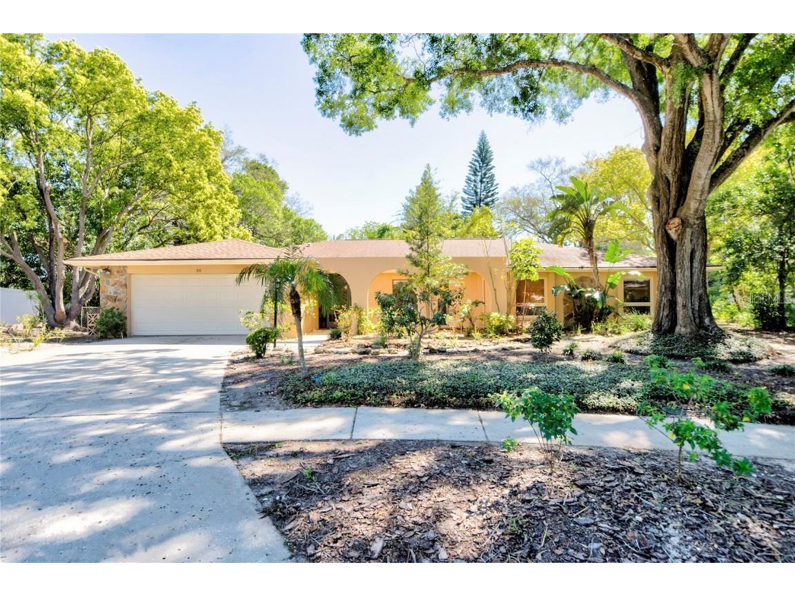 30 Pinetree Court Palm Harbor FL 34683 U8237347 image1