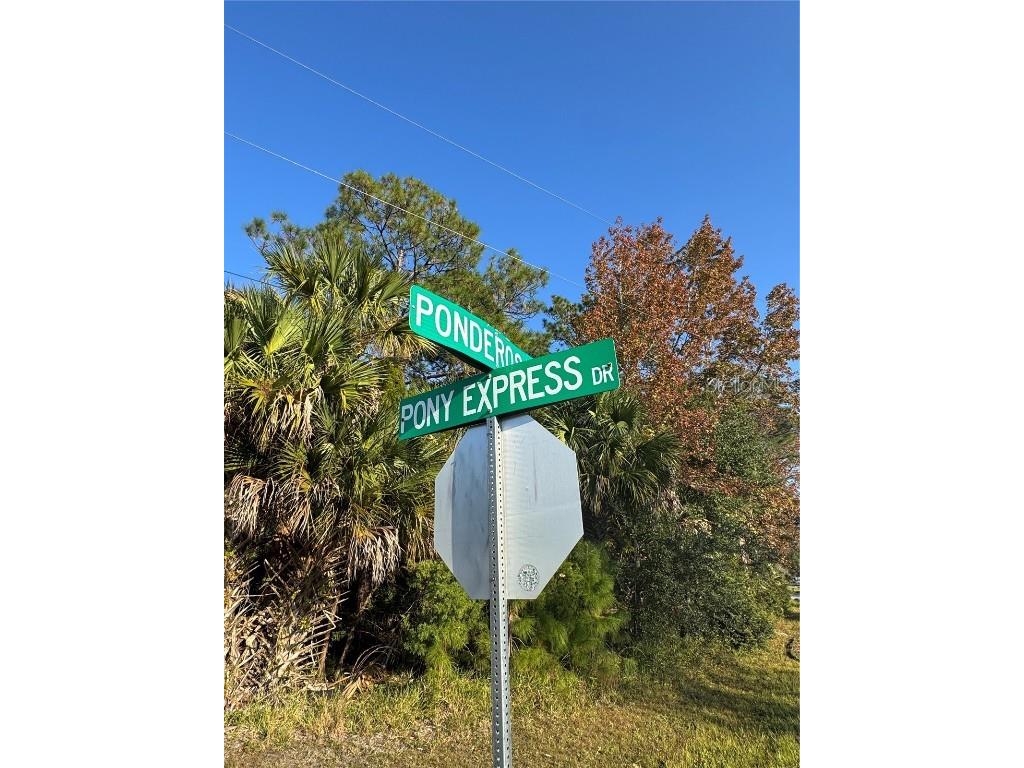 30 Pony Express Drive Palm Coast FL 32164 FC314235 image10