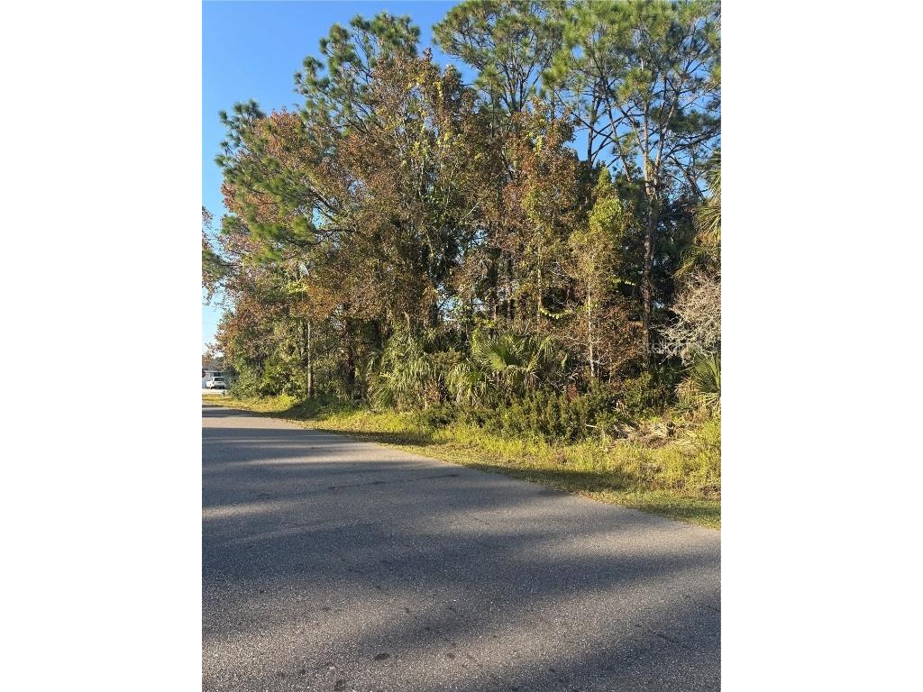 30 Pony Express Drive Palm Coast FL 32164 FC314235 image4