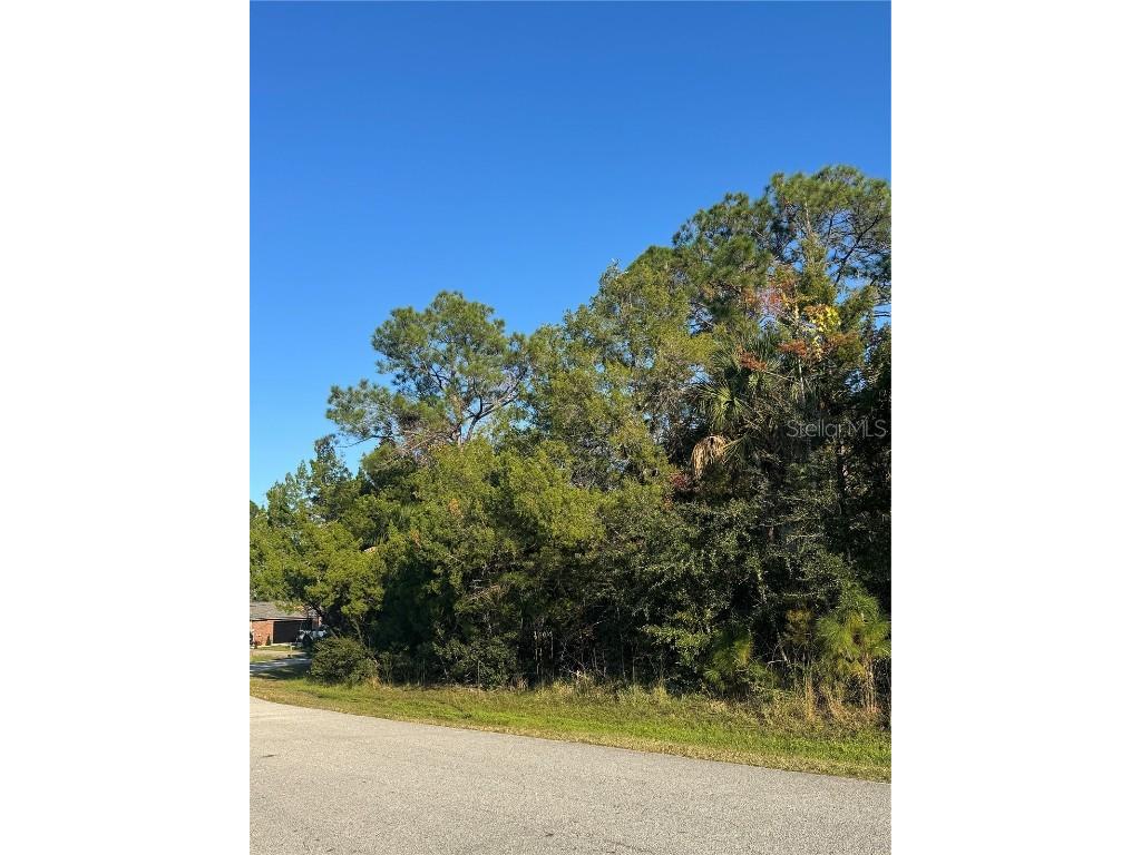 30 Pony Express Drive Palm Coast FL 32164 FC314235 image7