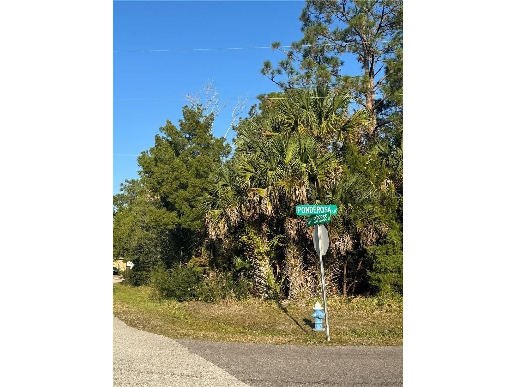 30 Pony Express Drive Palm Coast FL 32164 FC314235 image9