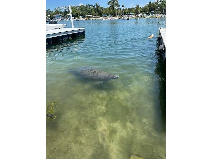 30 SE Valare Lane #102B Crystal River FL 34429 GC535155 image47