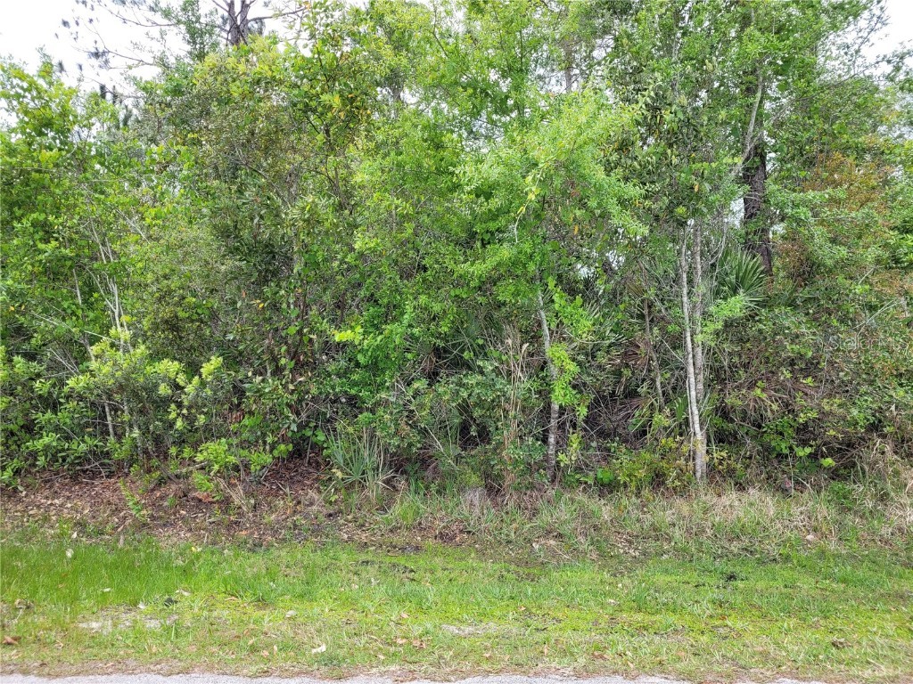 30 White Hurst Lane Palm Coast FL 32164 FC289995 image1