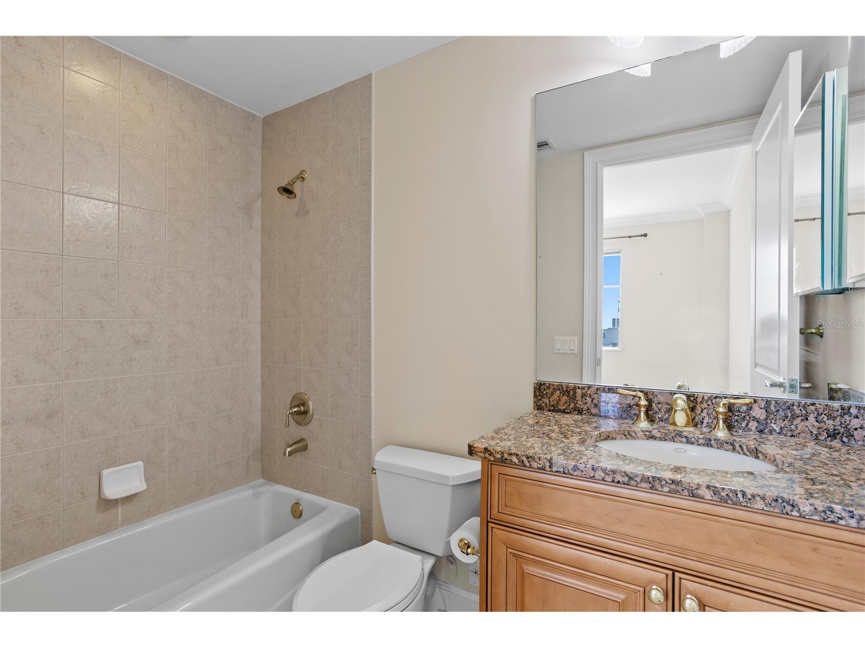 300 Beach Drive NE #1201 Saint Petersburg FL 33701 - TAMPA BAY TB8505597 image26
