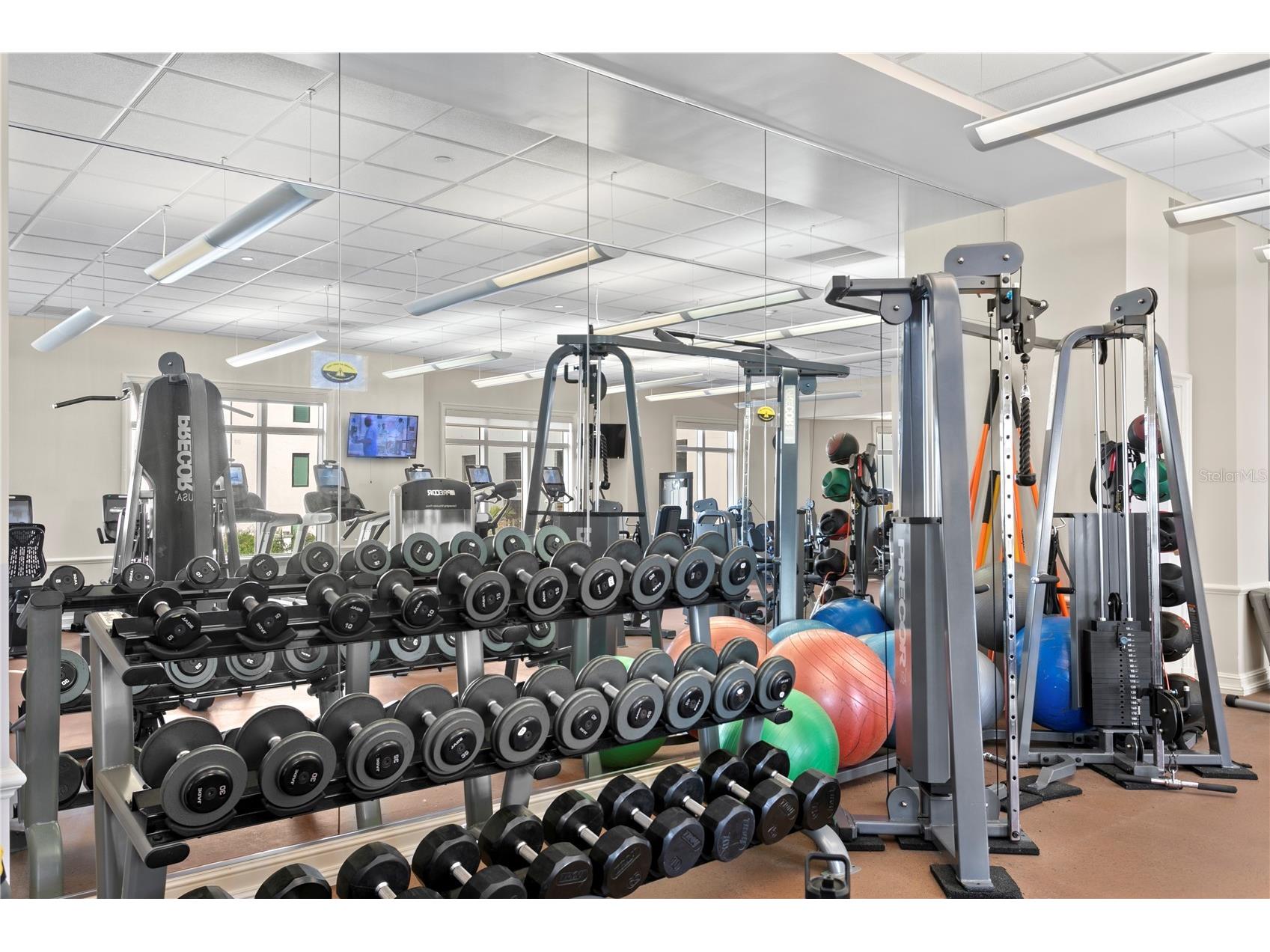300 Beach Drive NE #1201 Saint Petersburg FL 33701 - TAMPA BAY TB8505597 image48