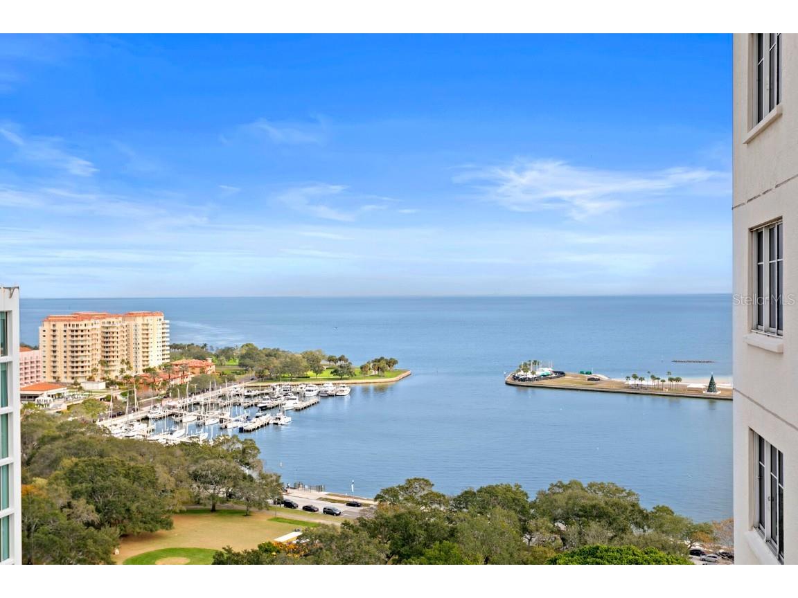 300 Beach Drive NE #1901 Saint Petersburg FL 33701 - TAMPA BAY U8225233 image1