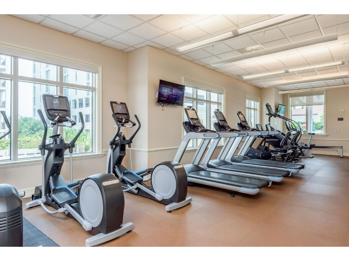 300 Beach Drive NE #2601 Saint Petersburg FL 33701 - TAMPA BAY TB8415539 image60