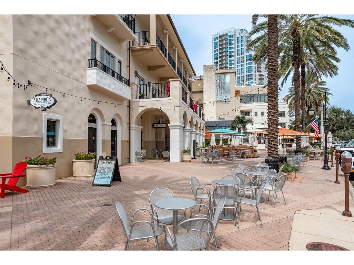 300 Beach Drive NE #2601 Saint Petersburg FL 33701 - TAMPA BAY TB8415539 image67