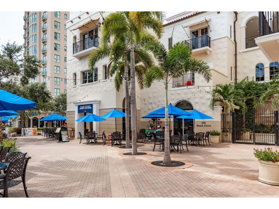 300 Beach Drive NE #2601 Saint Petersburg FL 33701 - TAMPA BAY TB8415539 image68
