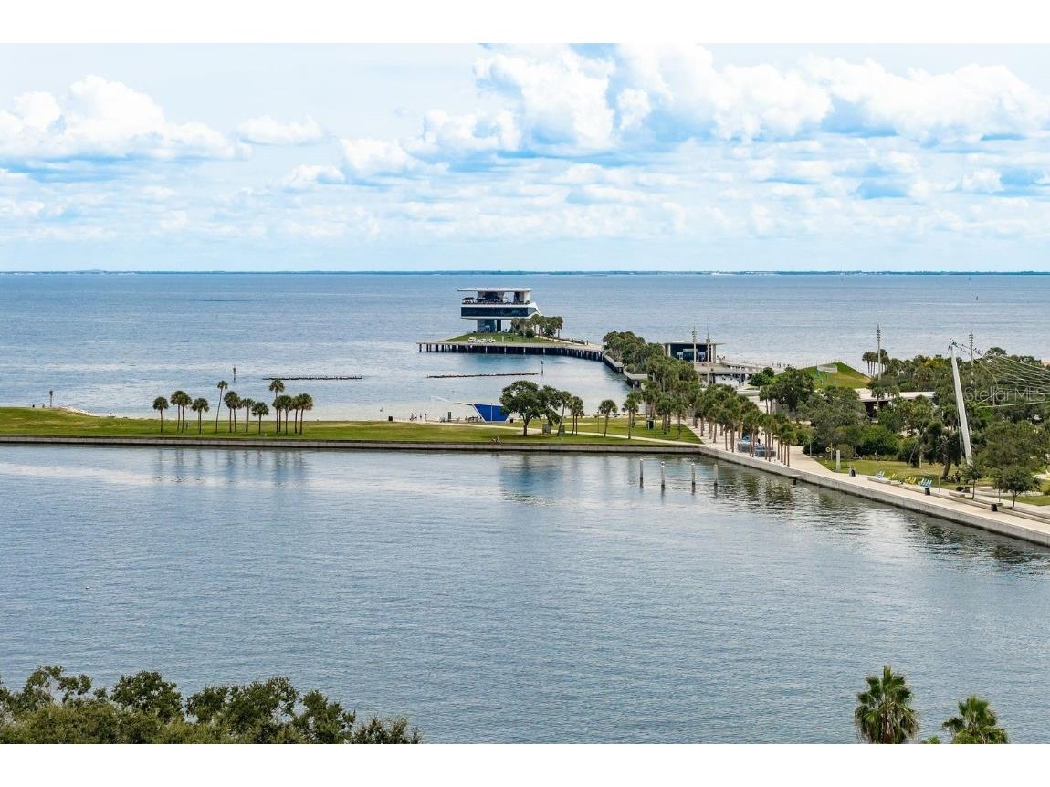 300 Beach Drive NE #2601 Saint Petersburg FL 33701 - TAMPA BAY TB8415539 image71