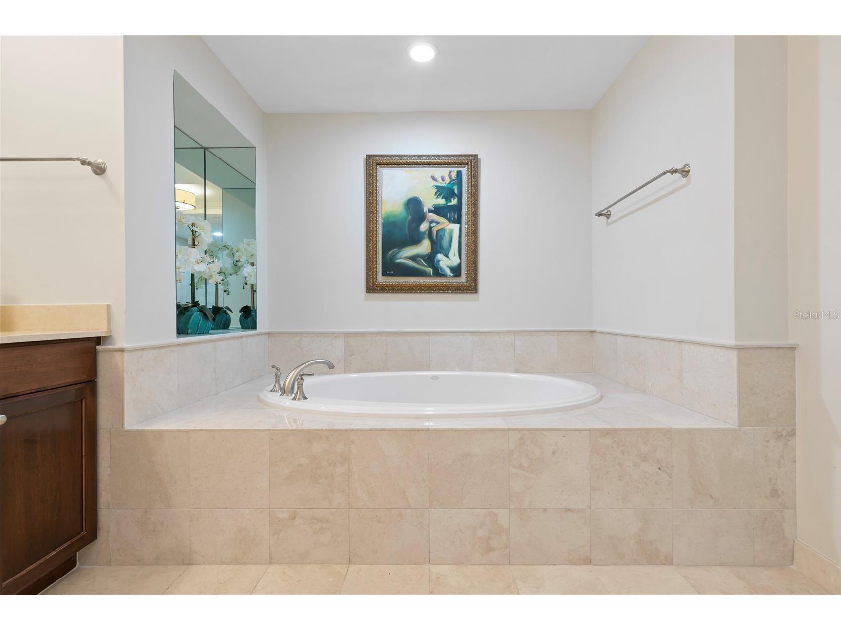 300 Beach Drive NE #302 Saint Petersburg FL 33701 TB8489597 image18