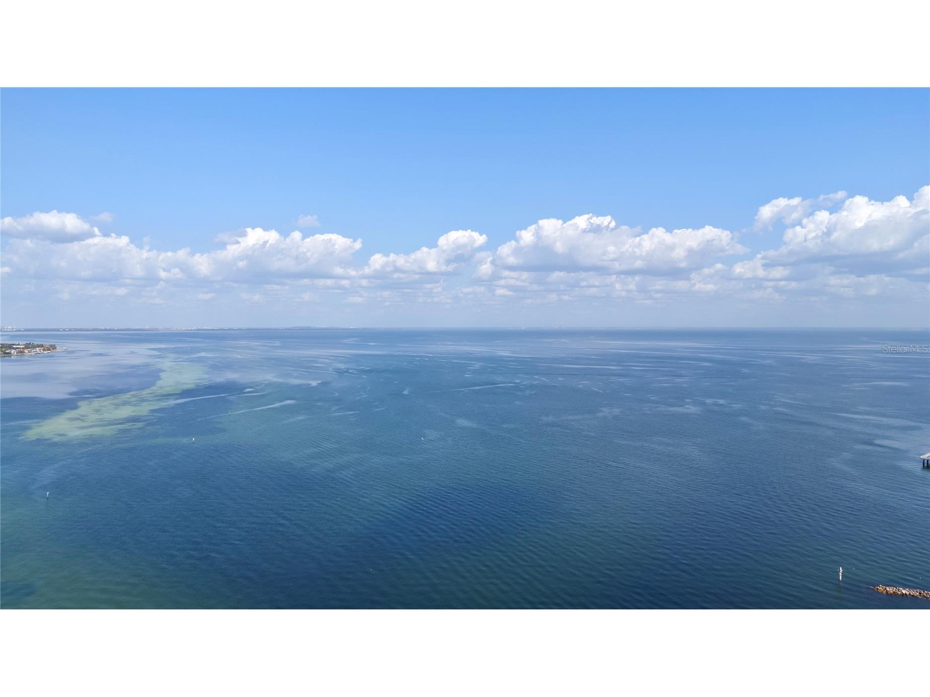 300 Beach Drive NE #302 Saint Petersburg FL 33701 TB8489597 image31