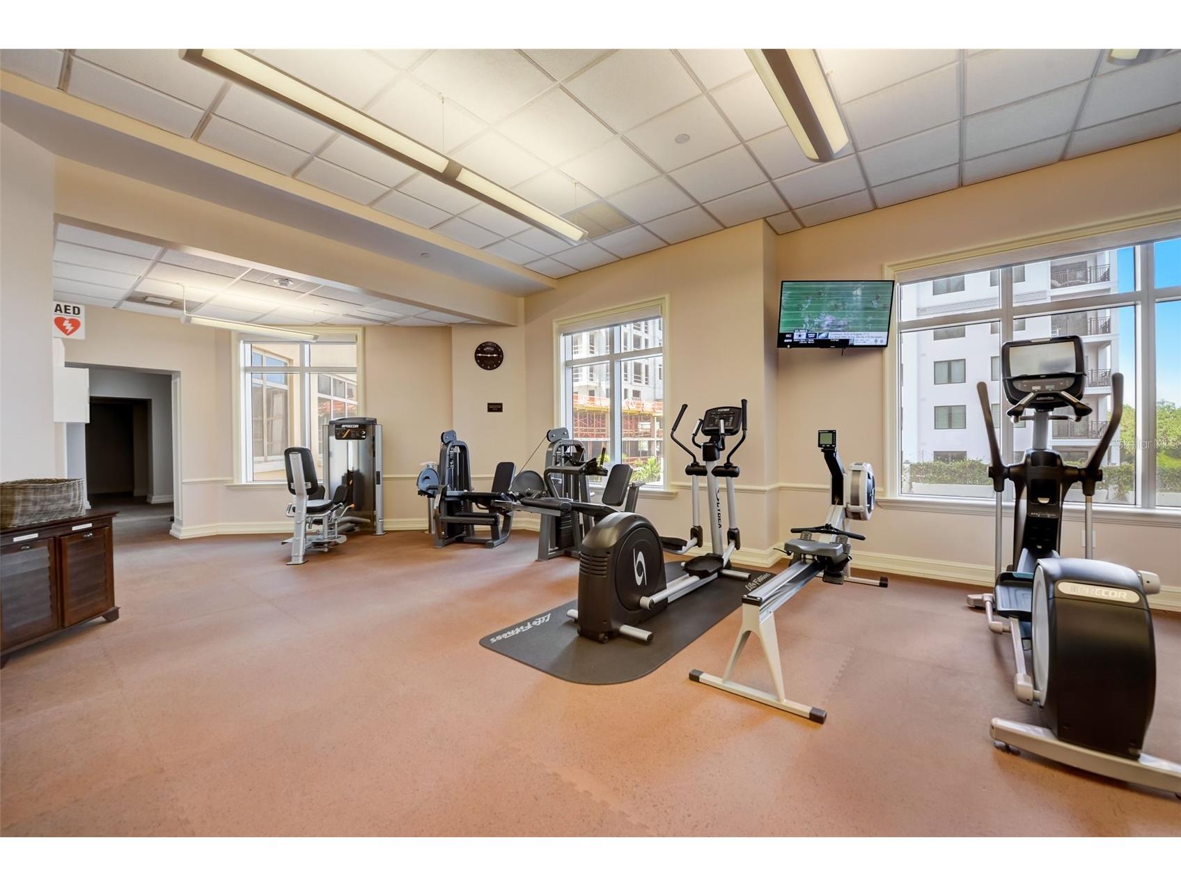300 Beach Drive NE #305 Saint Petersburg FL 33701 TB8512988 image31