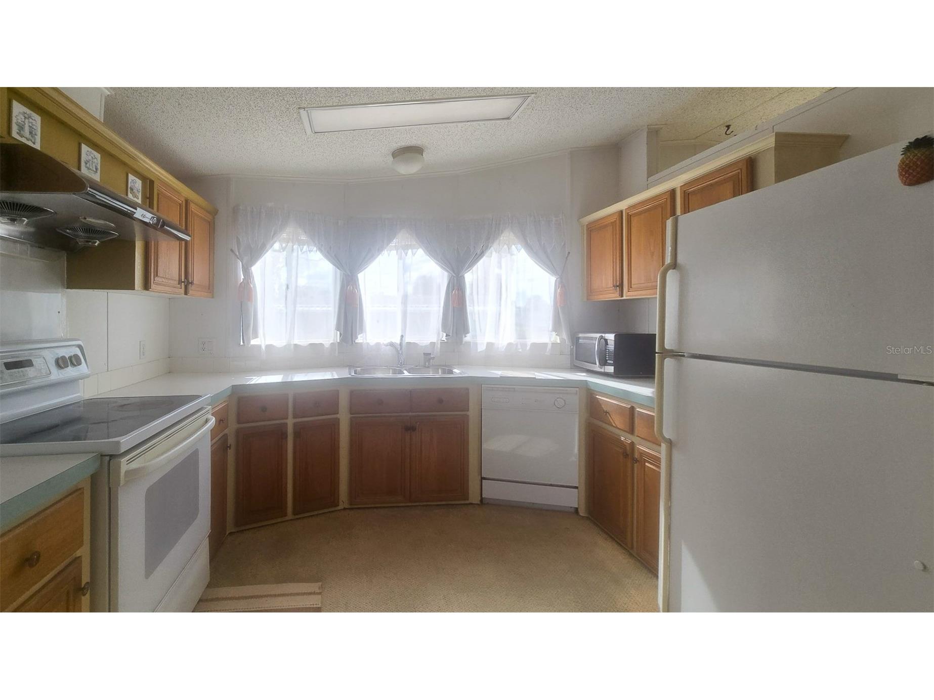 300 Beech Court Cocoa FL 32926 O6400967 image4