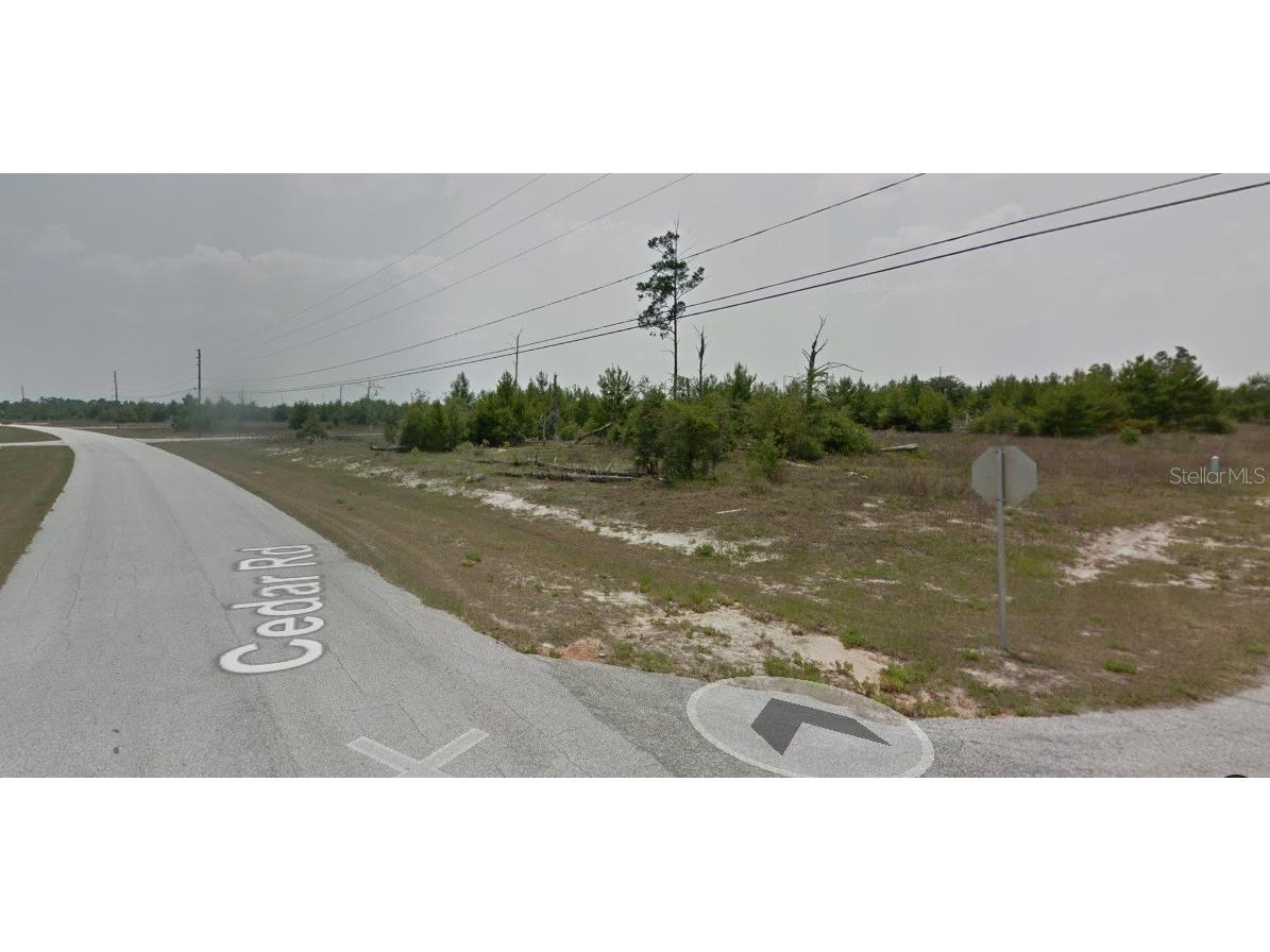 300 Begonia Court Kissimmee FL 34759 O6323365 image1