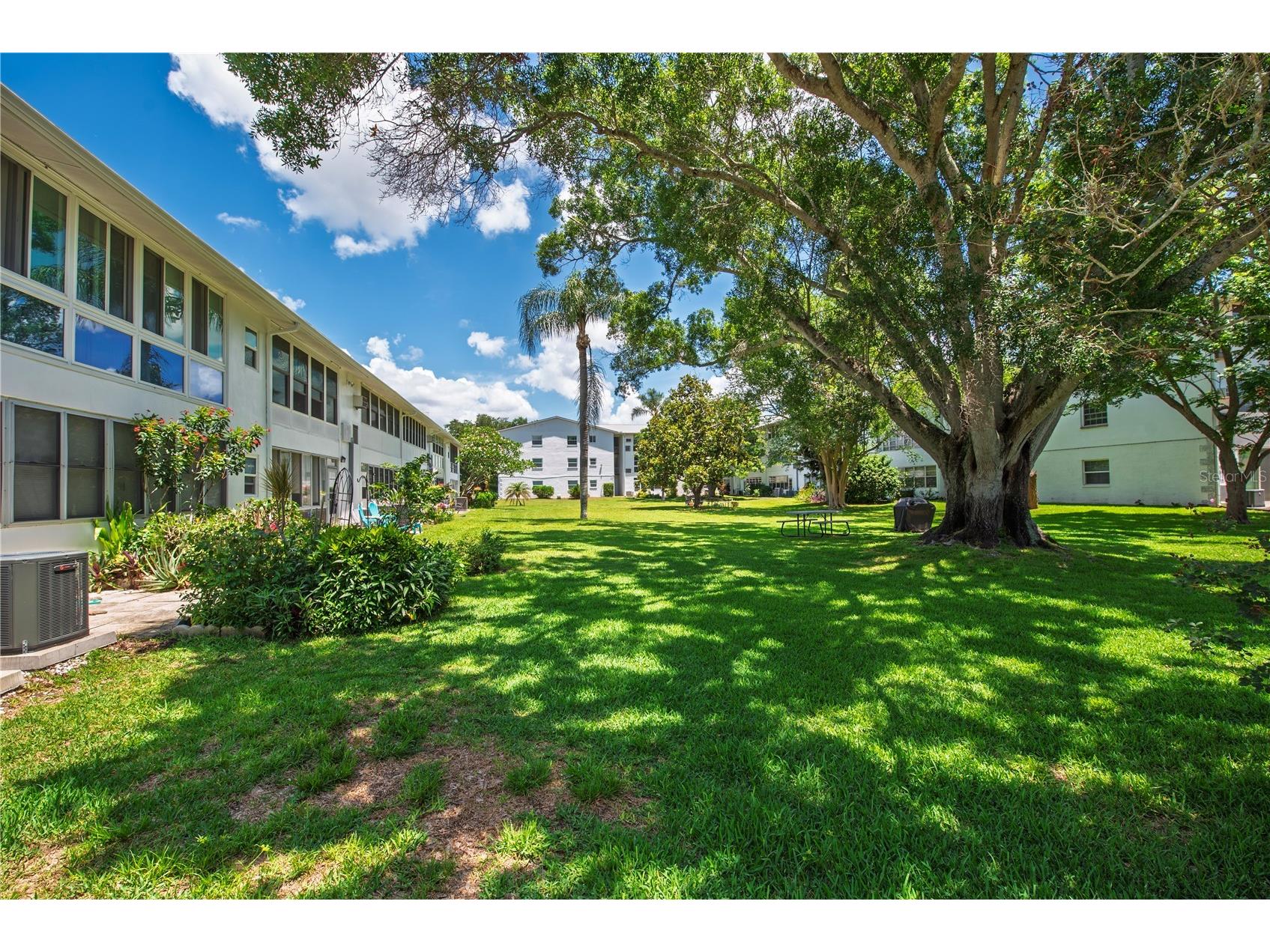 300 Clyde Lane #104 Dunedin FL 34698 TB8510674 image20