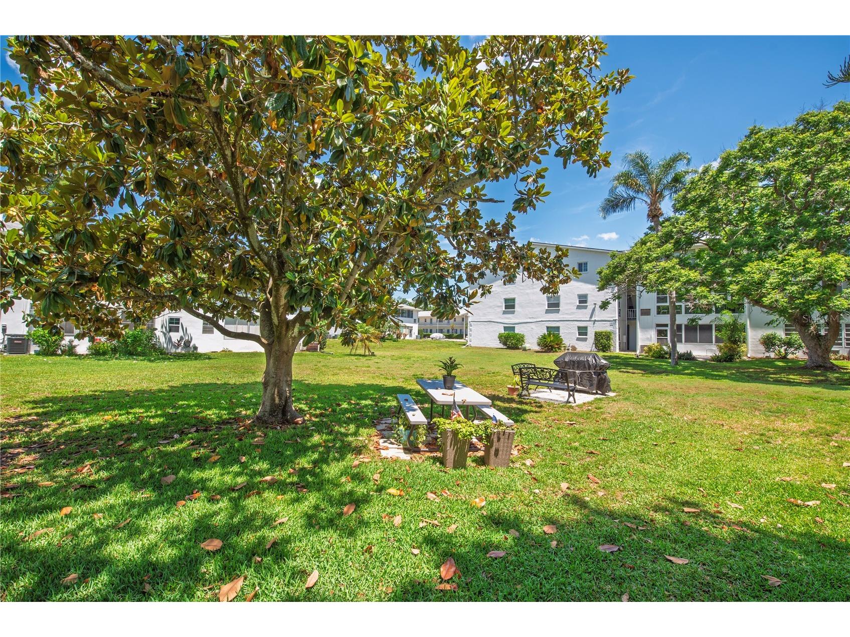 300 Clyde Lane #104 Dunedin FL 34698 TB8510674 image21