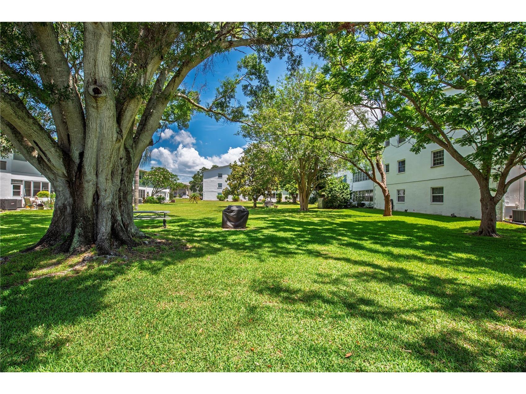 300 Clyde Lane #104 Dunedin FL 34698 TB8510674 image22
