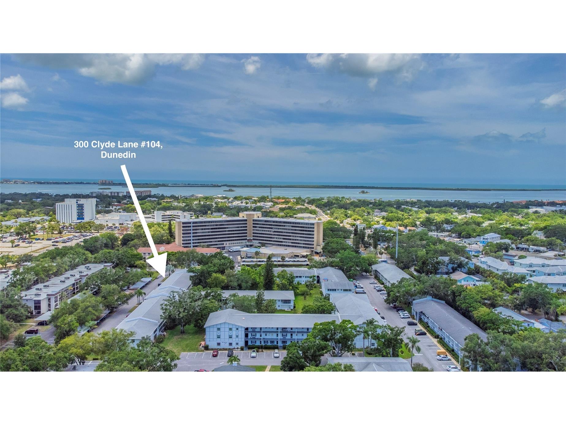 300 Clyde Lane #104 Dunedin FL 34698 TB8510674 image24