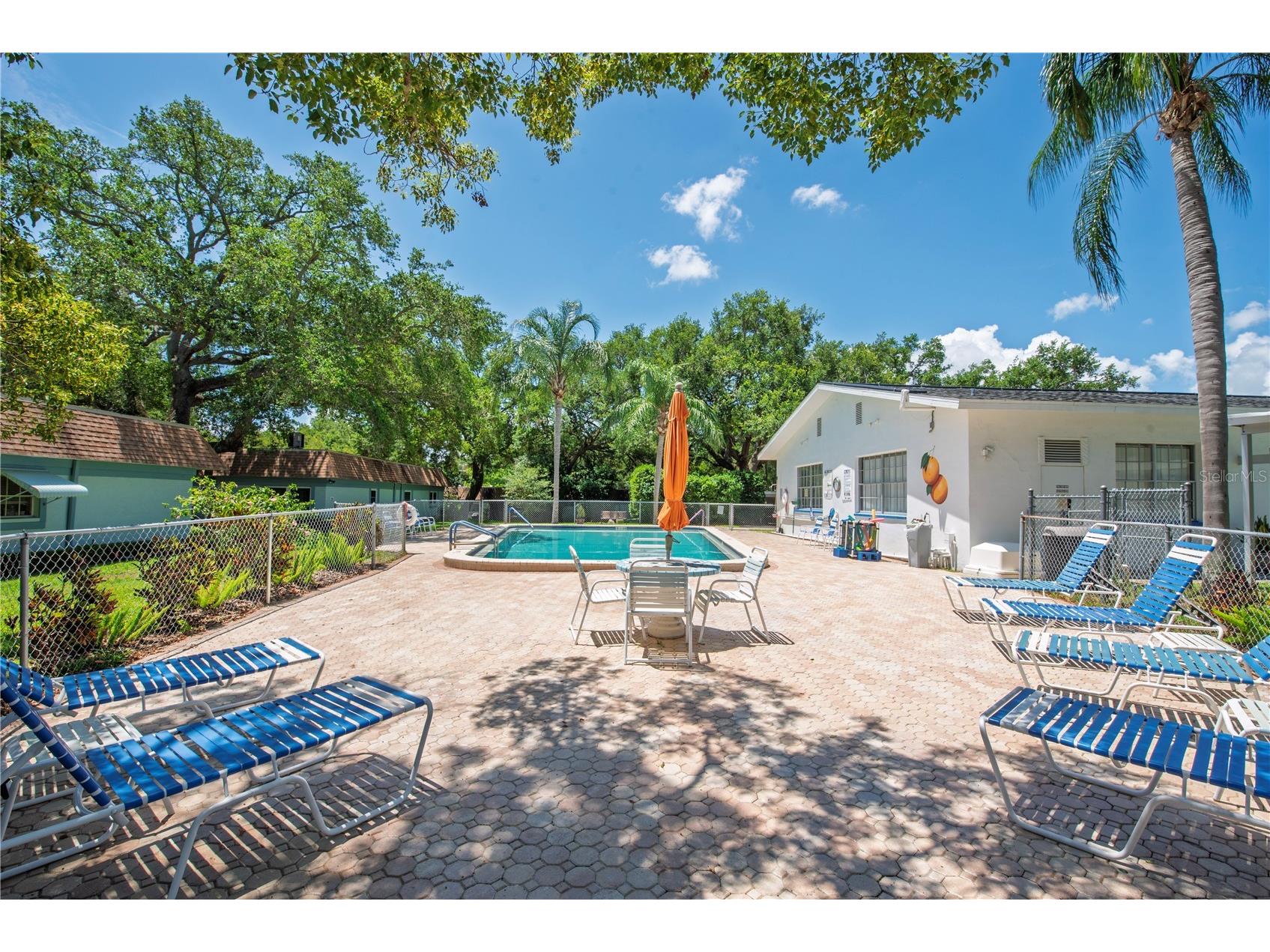 300 Clyde Lane #104 Dunedin FL 34698 TB8510674 image26