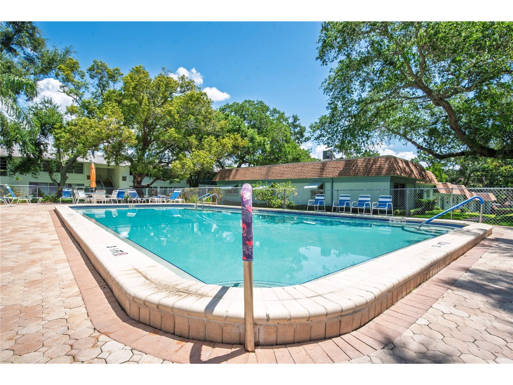 300 Clyde Lane #104 Dunedin FL 34698 TB8510674 image27