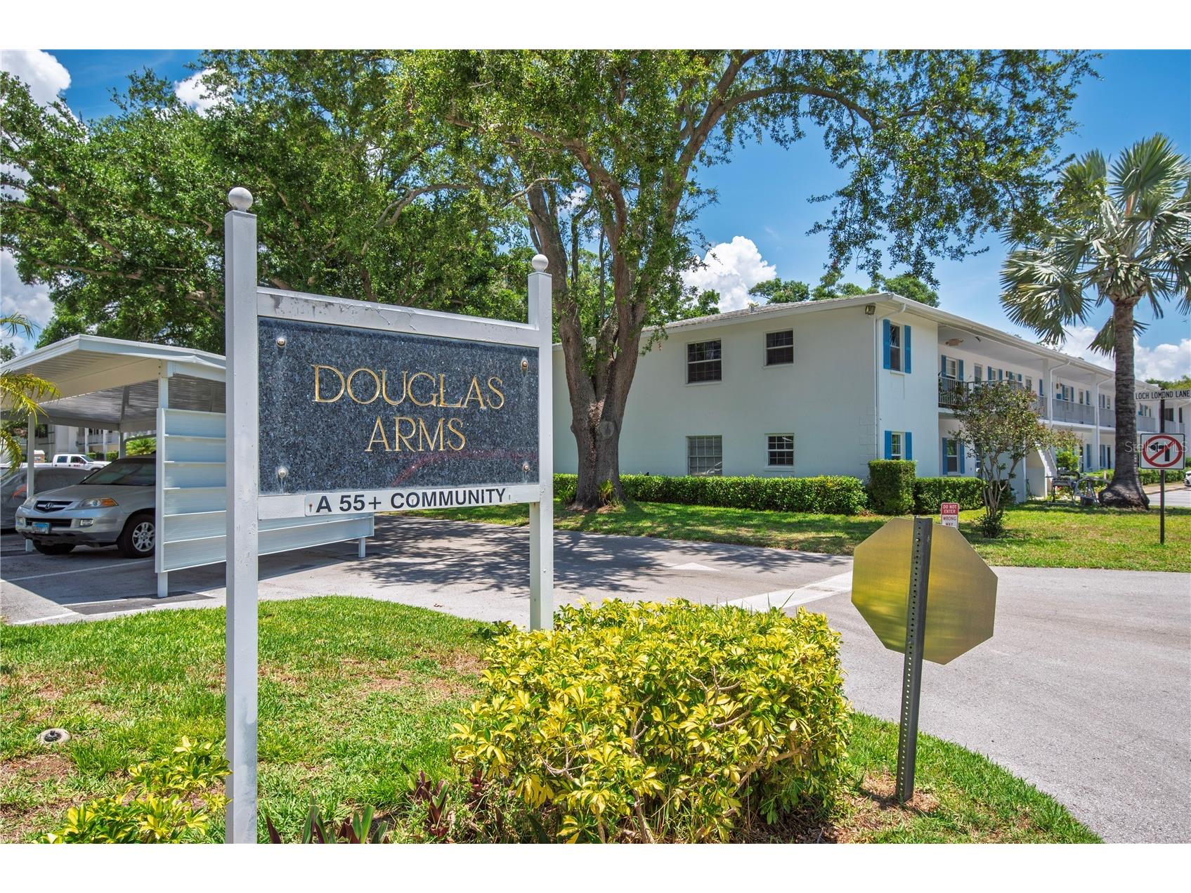300 Clyde Lane #104 Dunedin FL 34698 TB8510674 image37