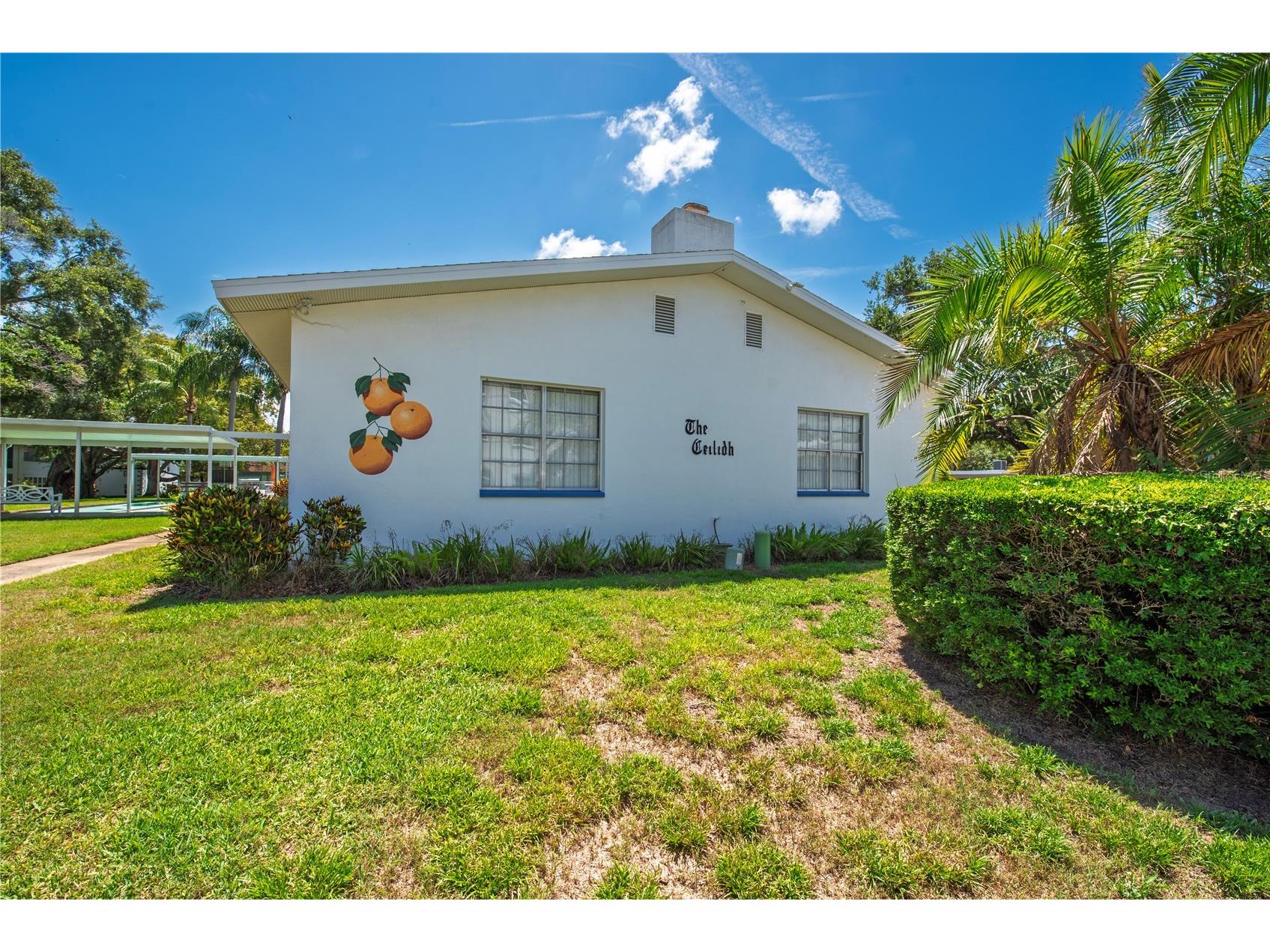 300 Clyde Lane #104 Dunedin FL 34698 TB8510674 image38