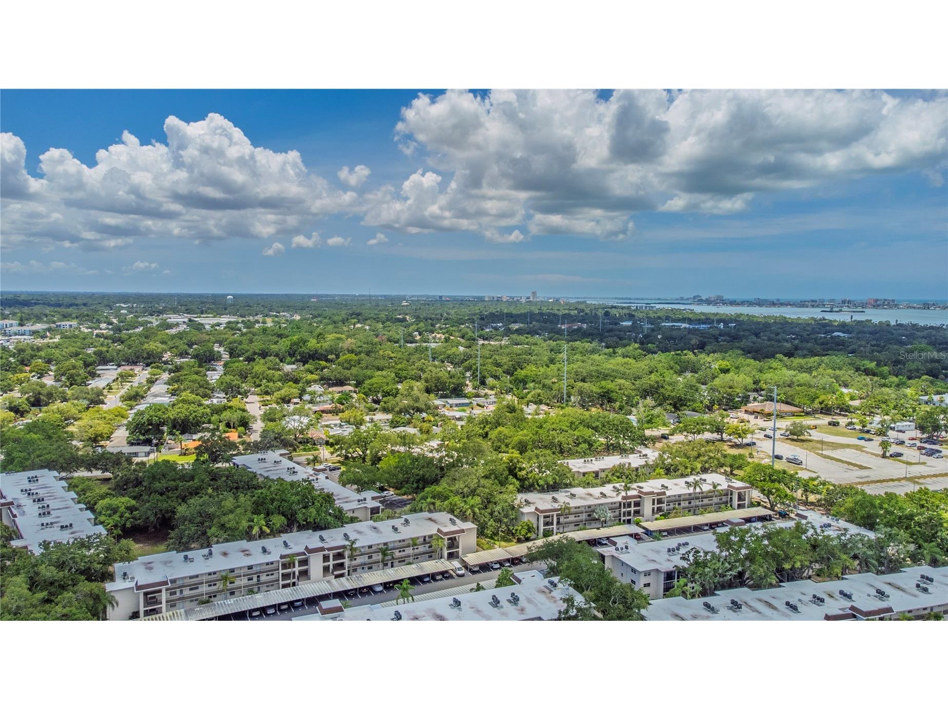 300 Clyde Lane #104 Dunedin FL 34698 TB8510674 image54