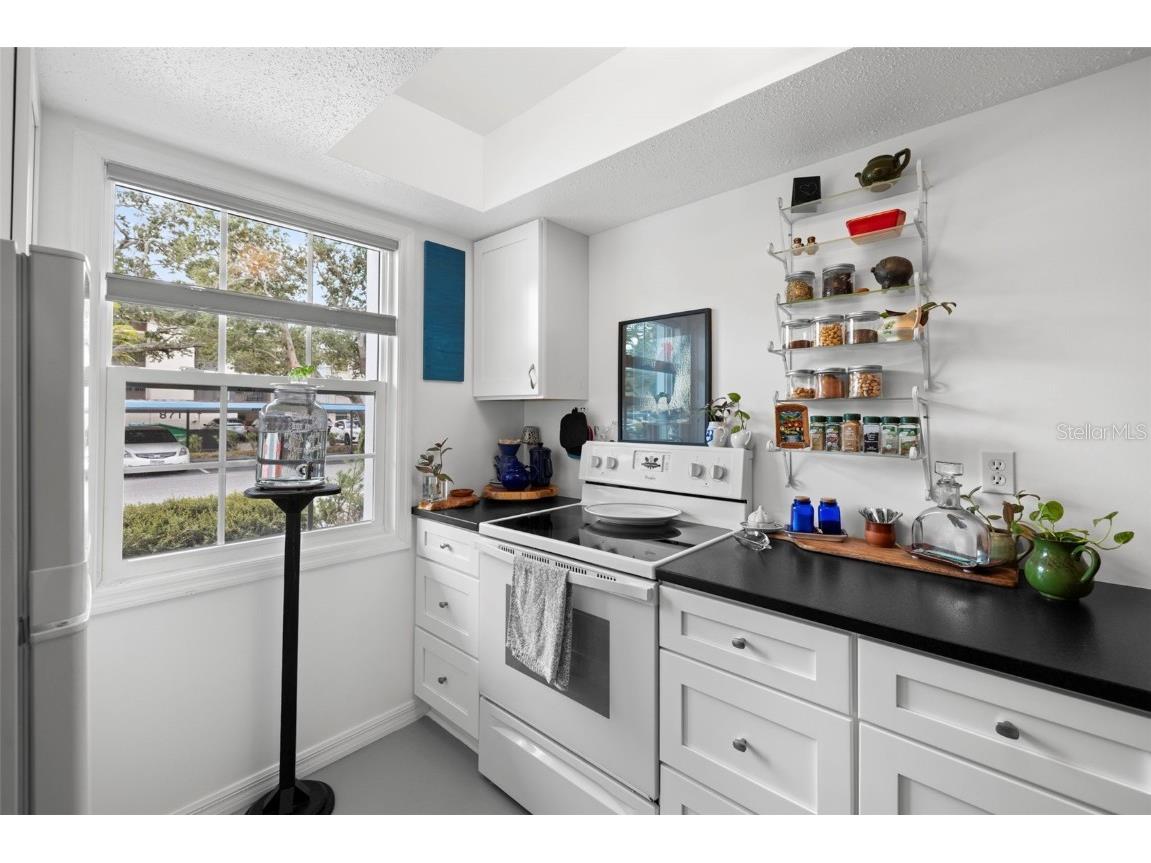 300 Clyde Lane #106 Dunedin FL 34698 TB8458026 image13