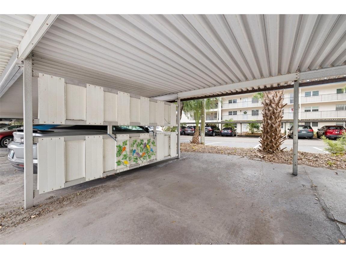 300 Clyde Lane #106 Dunedin FL 34698 TB8458026 image27