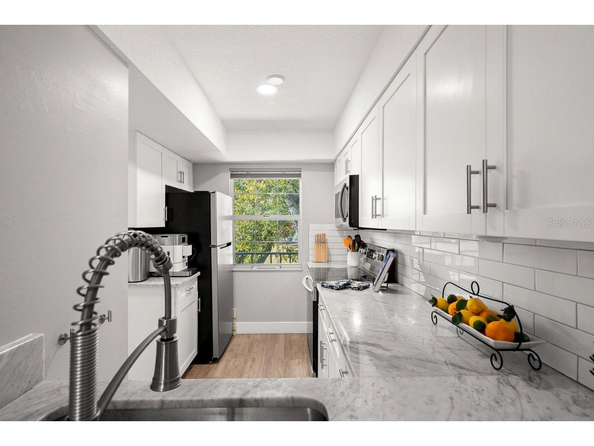 300 Clyde Lane #215 Dunedin FL 34698 TB8473029 image11