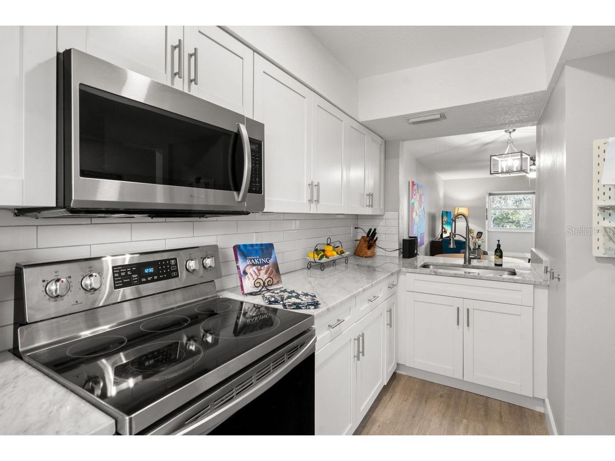 300 Clyde Lane #215 Dunedin FL 34698 TB8473029 image13