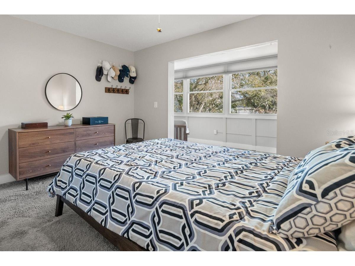 300 Clyde Lane #215 Dunedin FL 34698 TB8473029 image17