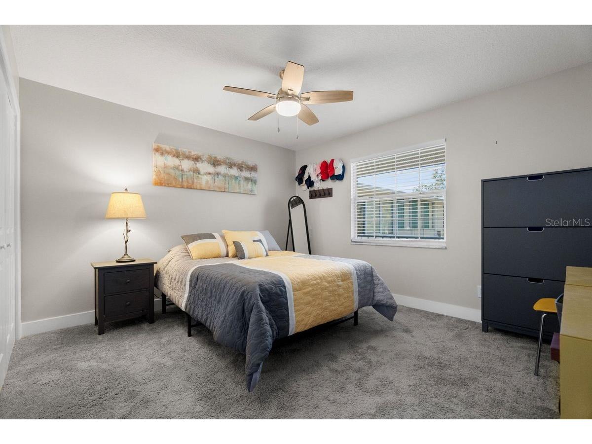 300 Clyde Lane #215 Dunedin FL 34698 TB8473029 image19