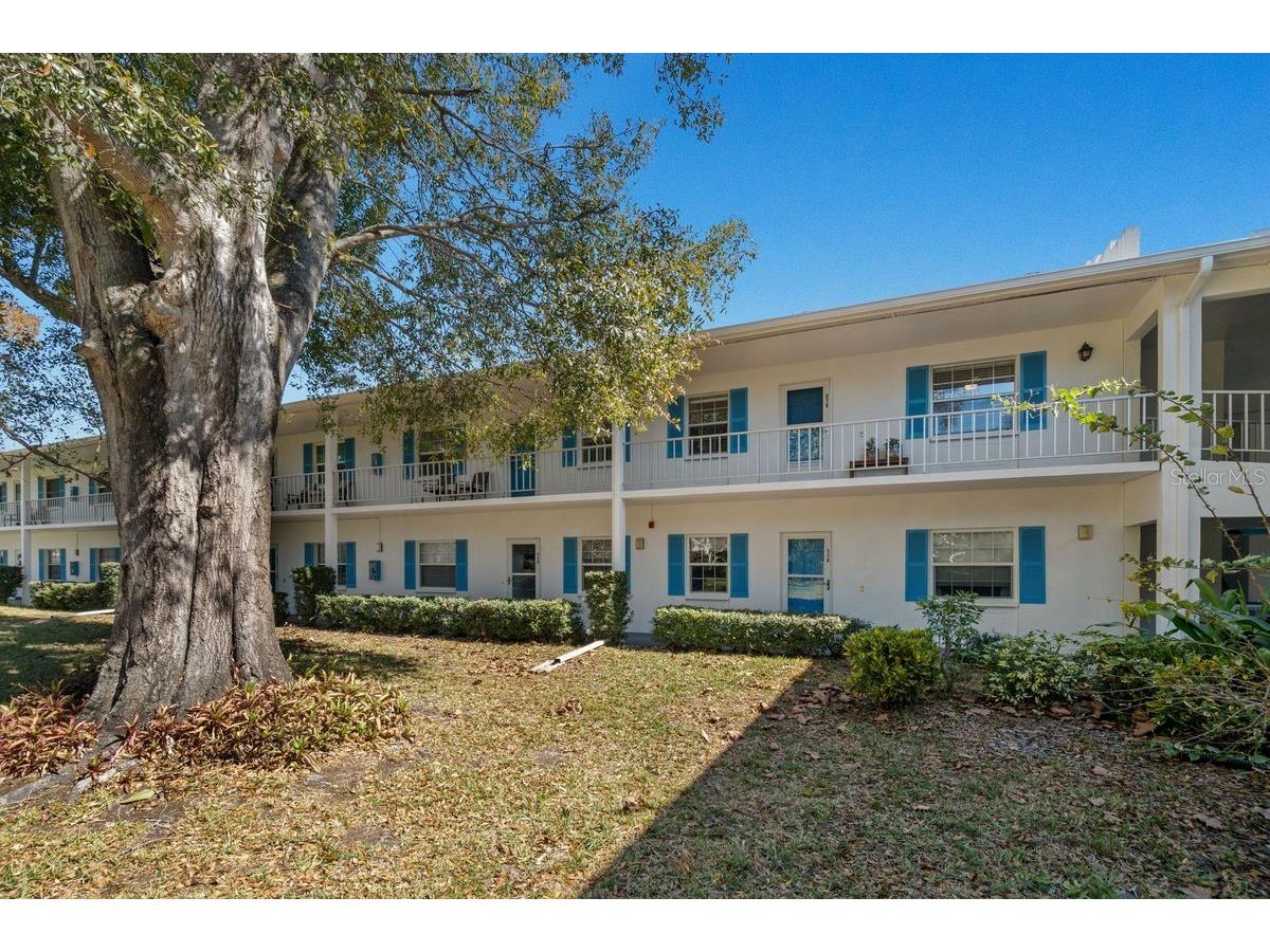 300 Clyde Lane #215 Dunedin FL 34698 TB8473029 image2