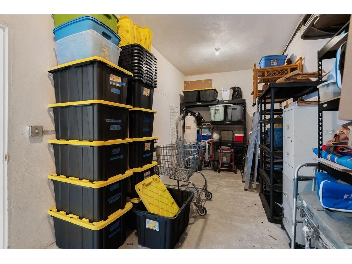 300 Clyde Lane #215 Dunedin FL 34698 TB8473029 image25