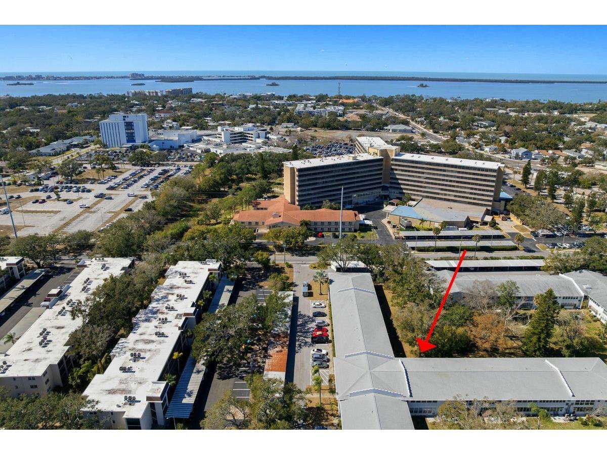 300 Clyde Lane #215 Dunedin FL 34698 TB8473029 image3