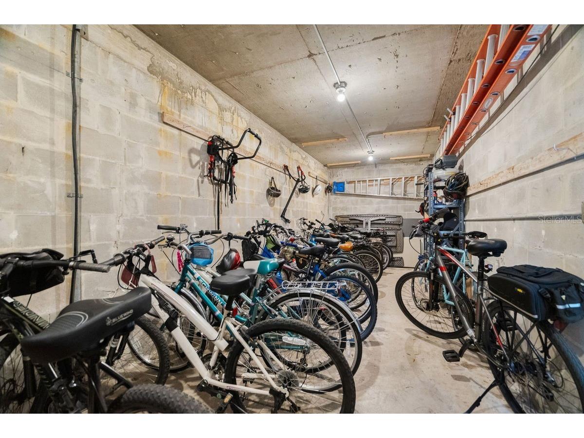 300 Clyde Lane #215 Dunedin FL 34698 TB8473029 image30